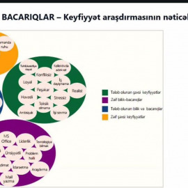 Tələbələrin Akselerasiya Proqramının (TAP) inkişaf proqramı 60