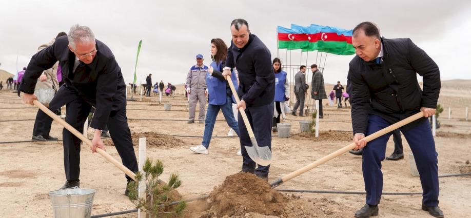 A tree-planting action was held in connection with the 100th anniversary of Great Leader Heydar Aliyev