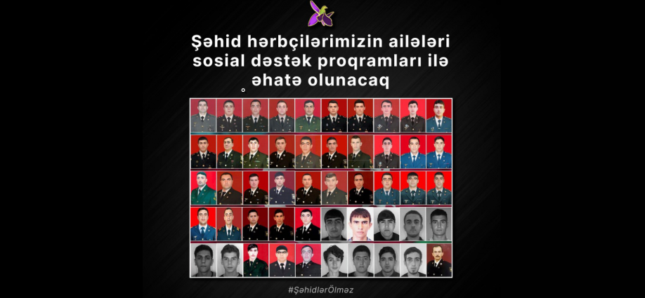 Şəhid hərbçilərimizin ailələri sosial dəstək proqramları ilə əhatə olunacaq