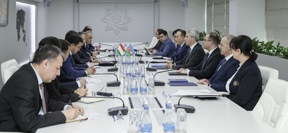 An exchange of views took place on future cooperation with Tajikistan in the field of labor and employment