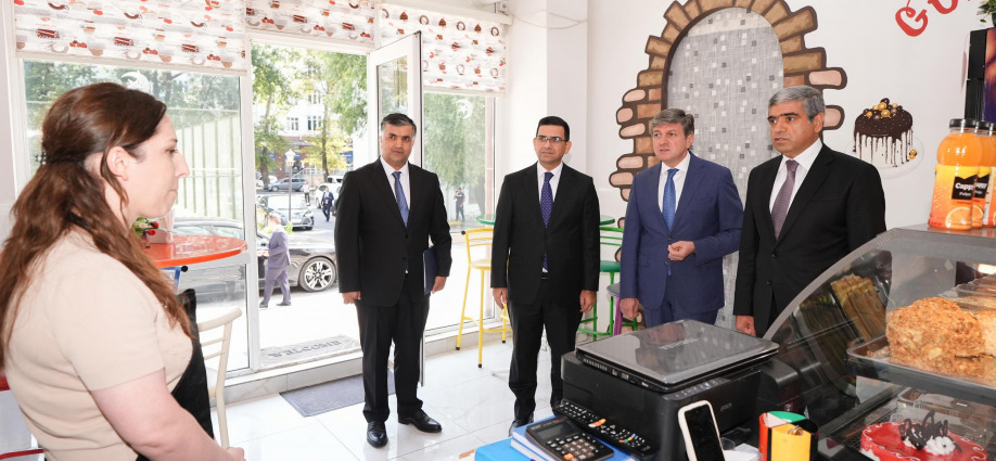 Qəbələdə özünüməşğulluq proqramı üzrə qurulmuş təsərrüfatlara, günərzi qayğı və reabilitasiya mərkəzlərinə baxış olub