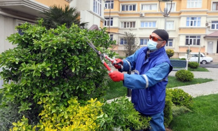 Ödənişli ictimai işlər proqramına cəlb olunanların sayı artmaqda davam edir